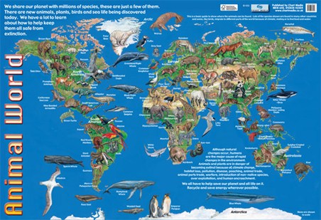 Animals of the World, Animal World Map